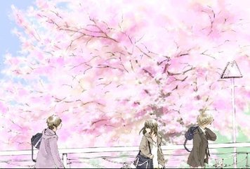 今日看料官网官网